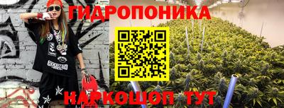 гидропоника Краснокаменск